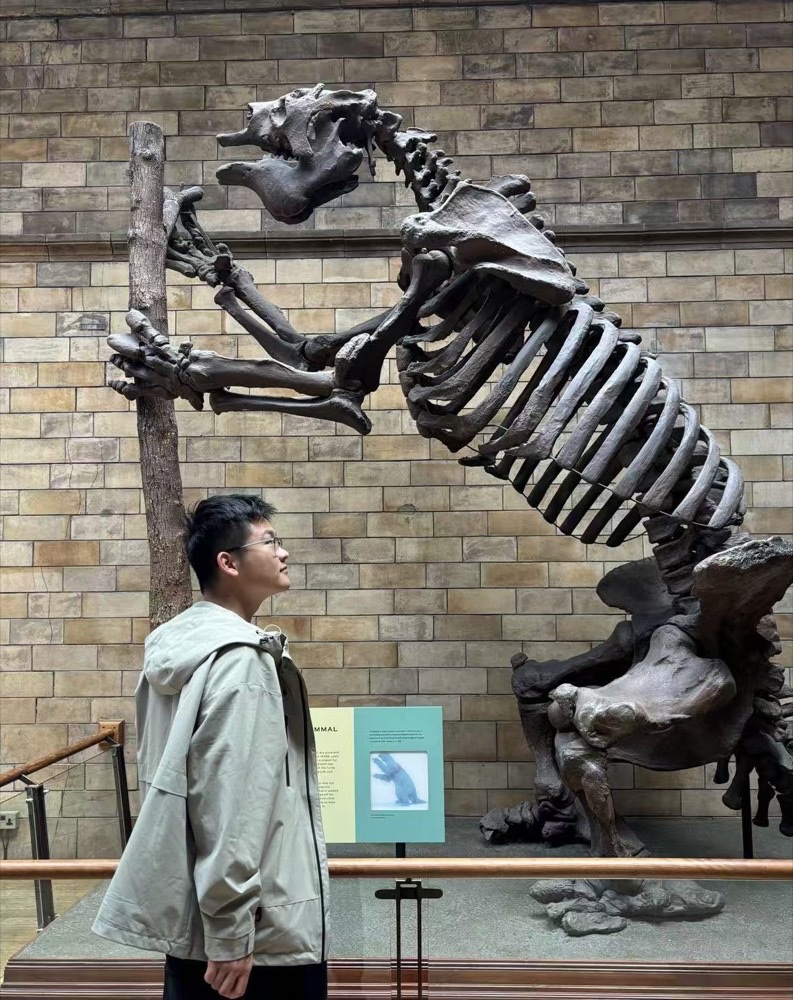 Michael looking up at a dinosaur skeleton in a museum